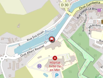 Carte de Le Borgne Eric à Palais (le)