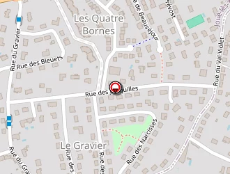 Carte de Rochard Philippe à Chambray-lès-tours