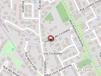 Carte de Entreprise Vincent Pham à Saint-avertin