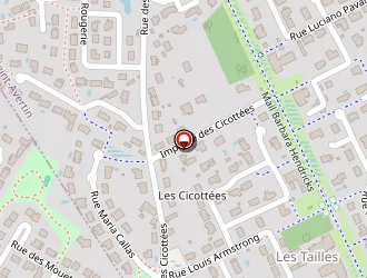 Carte de Beaussier Jean-pierre à Saint-avertin