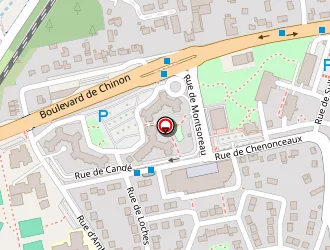 Carte de Giger Bernard à Joué-lès-tours