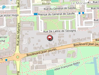 Carte de Lasfargues Marie-luce à Joué-lès-tours