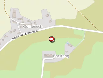 Carte de Grunenwald Guy à Palais (le)