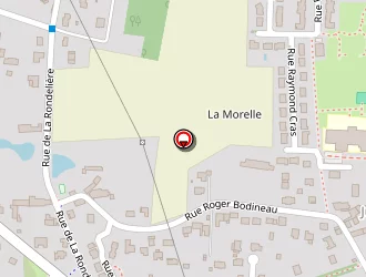 Carte de Berthault Philippe à Larçay