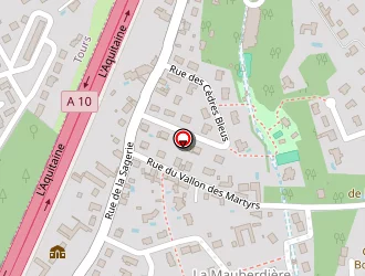 Carte de Leprince Marie Laure à Saint-avertin