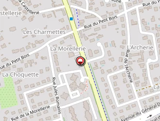 Carte de Courson Michel à Saint-avertin