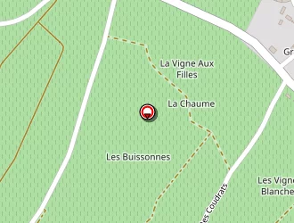 Carte de Riffault Pierre à Sury-en-vaux