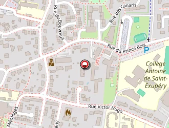 Carte de Delaunay Delphine à Savenay