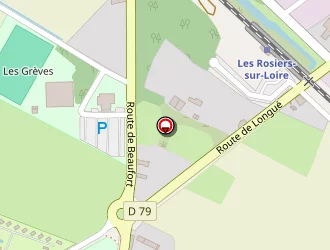 Carte de Cctr à Rosiers-sur-loire (les)