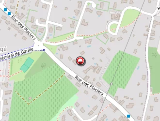 Carte de Trv Transports à Saint-avertin