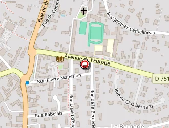 Carte de Complexe Sportif à Saint-florent-le-vieil