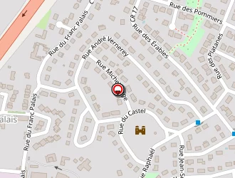 Carte de Blanchard Bruno à Joué-lès-tours