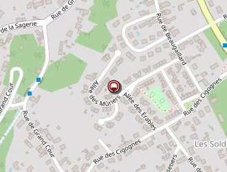 Carte de Boireaud Bernard à Saint-avertin