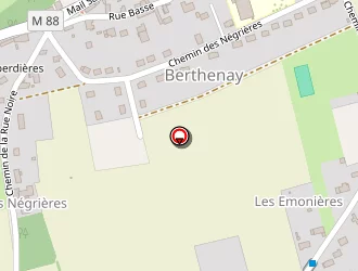 Carte de Guerin Tony à Berthenay