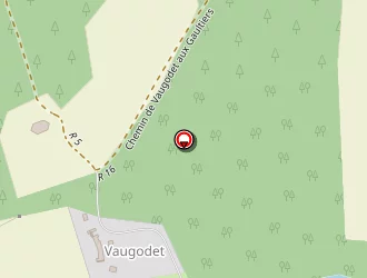 Carte de Colson Andrée à Langeais