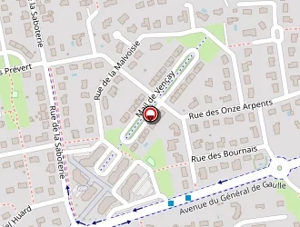 Carte de Allo Assist'habitat 37 à Saint-avertin