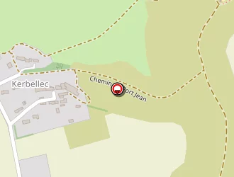 Carte de Bura Ion à Palais (le)