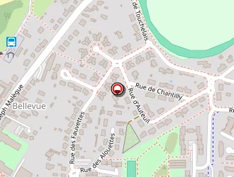 Carte de Hanachi Samir à Savenay