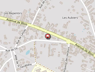 Carte de Godard Frédéric à Romorantin-lanthenay