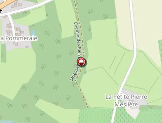 Carte de Domaine Des Pierres Meslières à Saint-géréon