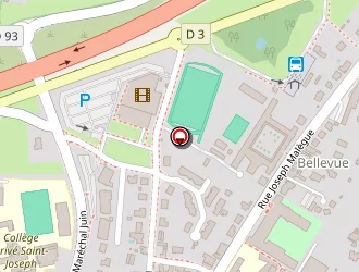 Carte de Boulay Patrice à Savenay