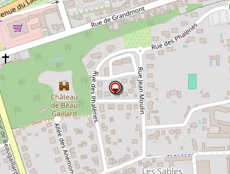 Carte de Gymnase Léon Brûlon à Saint-avertin