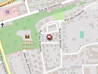 Carte de S.g Bat à Saint-avertin