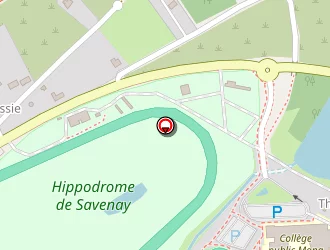 Carte de Halgand Vincent à Savenay