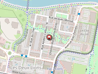 Carte de Pharmacie Des 2 Lions à Tours