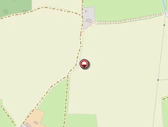 Carte de Typha à Sucé-sur-erdre