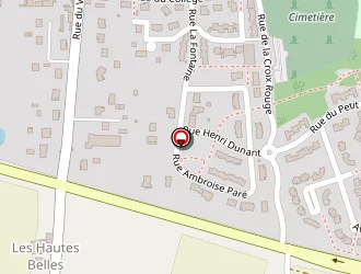 Carte de Fouillet (ets) à Longué-jumelles