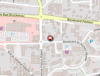 Carte de Leroueille Emilie à Ancenis