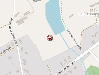 Carte de Guenais à Choussy