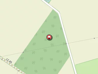 Carte de Pellicioli Flavien à Cellier (le)