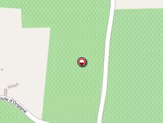 Carte de Nee Roger à Saint-saturnin-sur-loire