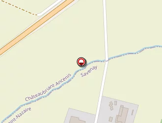 Carte de Piscine Intercommunale De Savenay à Savenay