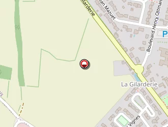 Carte de Lepetit à Saint-géréon