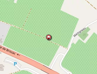 Carte de Dm Diffusion à Juigné-sur-loire