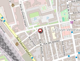 Carte de Nussaci Martine à Tours