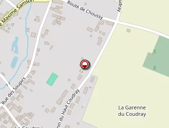 Carte de Transport Hamain à Thenay