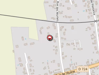 Carte de Bigogne Stéphane à Selles-saint-denis