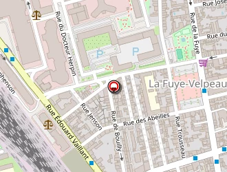 Carte de Salvetti Géraldine à Tours