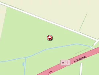 Carte de Cmv à Couffé