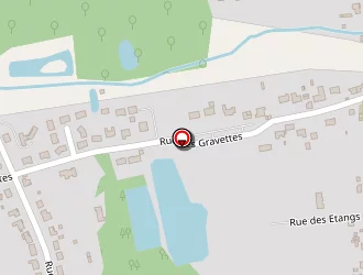 Carte de Roque Michel à Selles-saint-denis