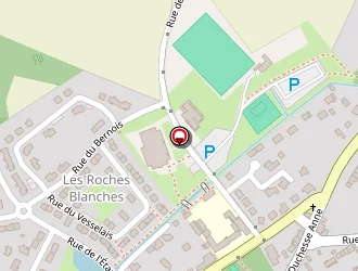 Carte de Bouineau Laurent à Saint-molf