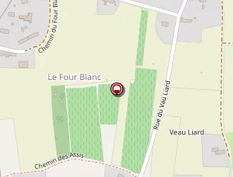 Carte de Thorin Nathalie à Fondettes