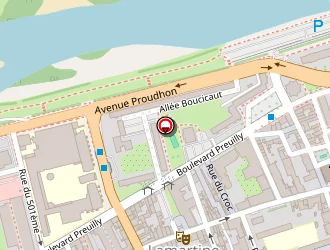 Carte de Laine Audrey à Tours