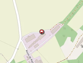 Carte de Georgenfeld à Rigney