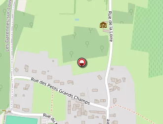 Carte de Gourichon Denis à Saint-saturnin-sur-loire