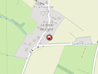 Carte de Martin Jean Pierre à Ligné